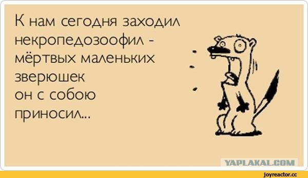 Британка повсюду таскает с собой своего сына — дохлого лисенка Иисуса