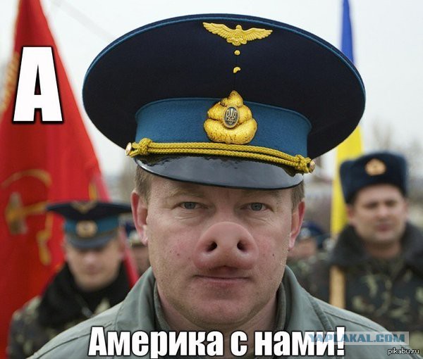 Возможно, боевикам удалось сбить самолет