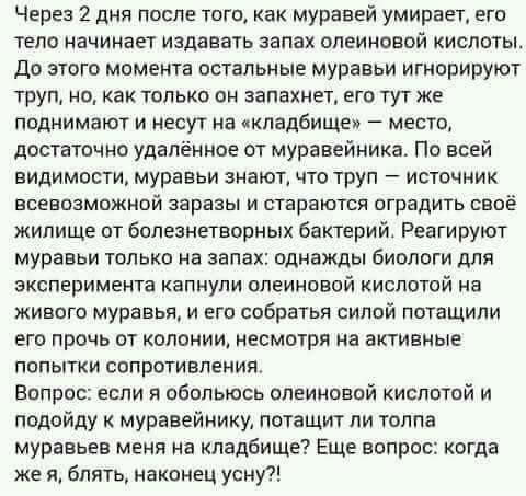 И сбоку бантик