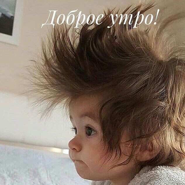 Не очень светлый и абсурдный юмор обо всём
