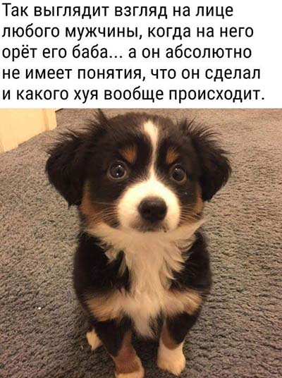 Не очень адекватный юмор