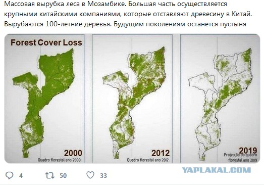 Из Бурятии за три месяца вывезли лес на 47 млн долларов