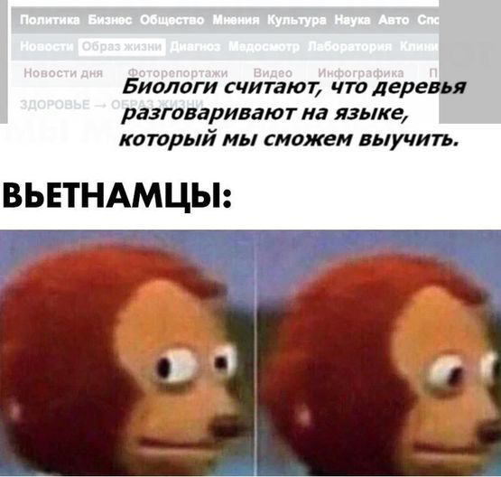 50 блэкчиков
