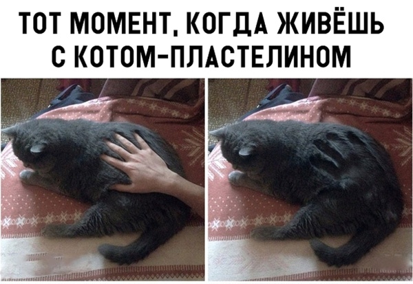 Подборка так себе картинок