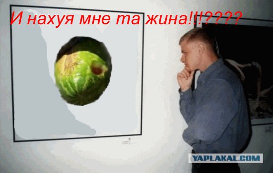 Фотожаба: Молодой ценитель