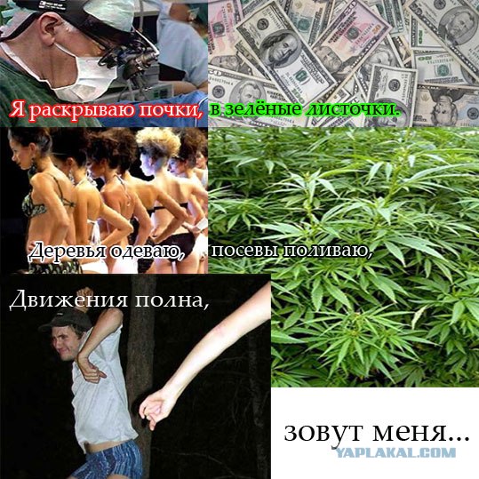 Недетские загадки для ЯПлакалъ