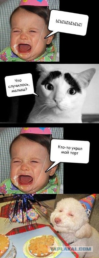 Фотожаба: Что случилось, малыш?