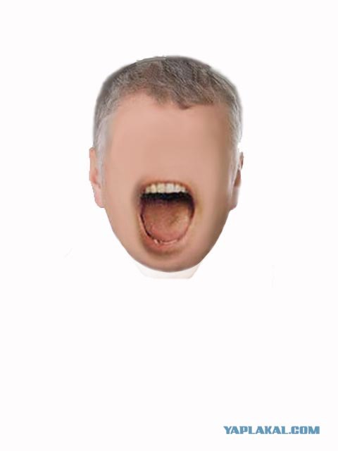 Создаем знаменитое лицо