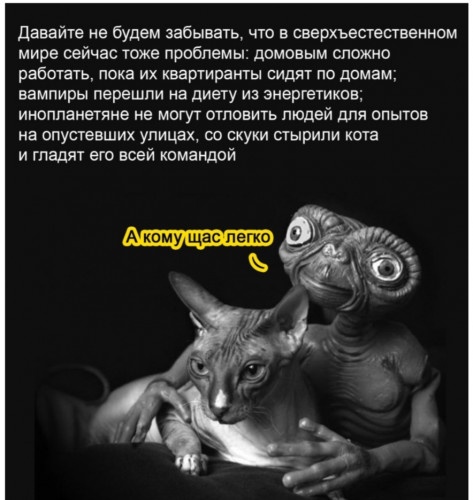 Бредзона 20.01.2021
