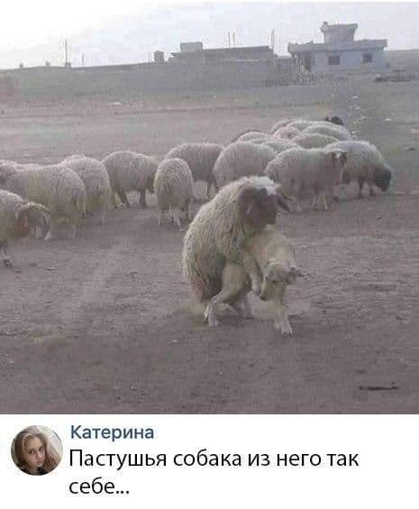 Эй вы, давно не деградировали?!