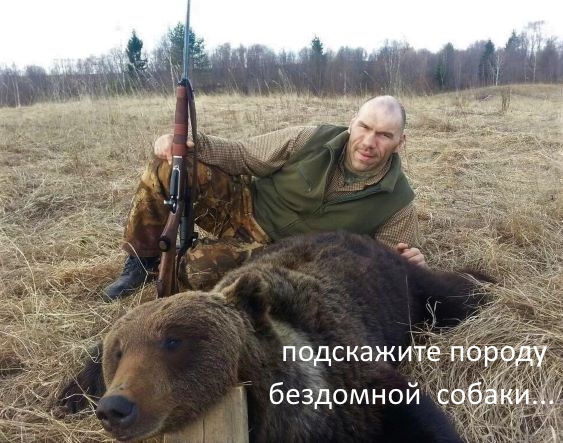 Валуев поджигает зады зооши... эммм у зооактивистов