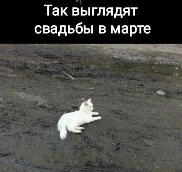 Мемасики от Димасика - Часть 1