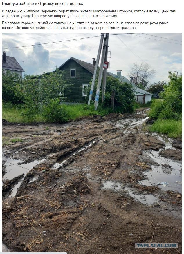 Живу в Воронеже