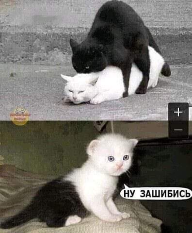 Так себе картинки 11.09.21