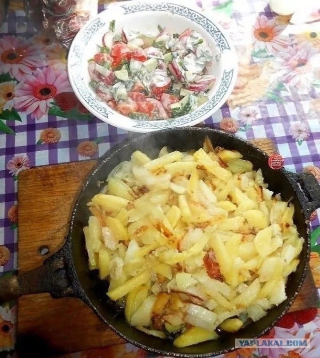 Сам себя считаю