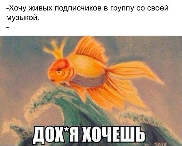 Околомузыкальный 1.00