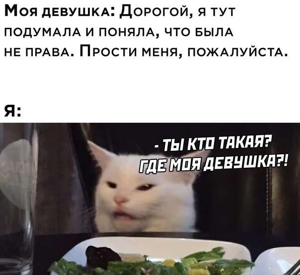 Человек собаке друг и другие картинки и мемы  под настроение