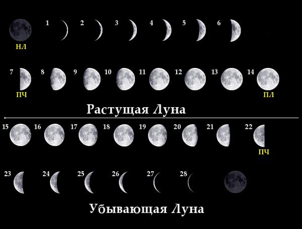 Американцы были на Луне? Не смешите мои подковы! Самое простое и неоспоримое доказательство что нет.