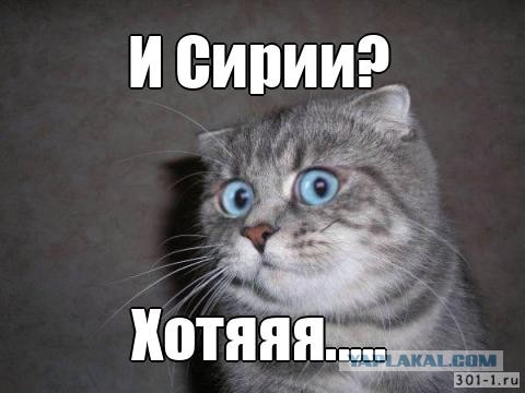 22.02.2022 - начало третьей мировой? Специально подбирали?