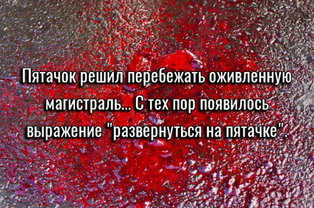 Чернота на среду, дорогие деграданты (облегченная версия)