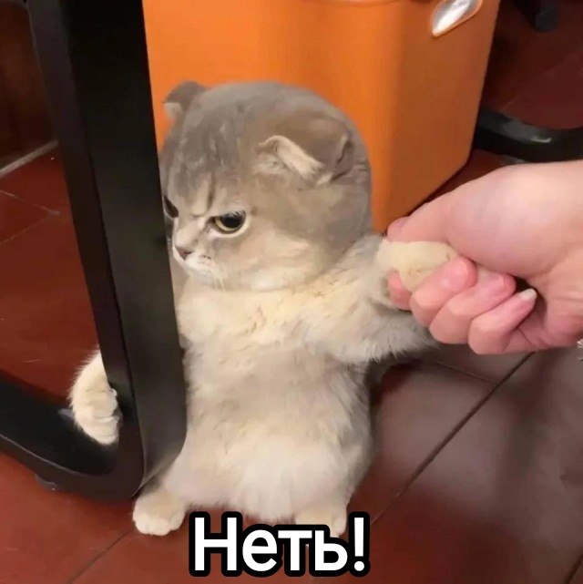 Нехочух