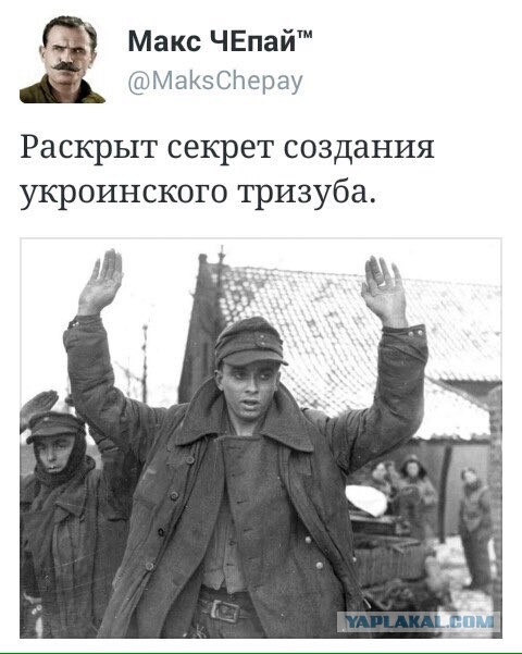 Сдался угрожавший Кадырову Азовец