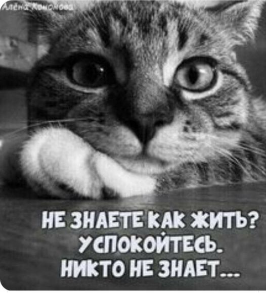 Так себе картинки 10.09.22