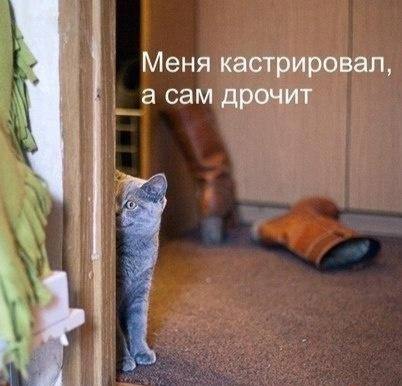 Немного баянов для настроения