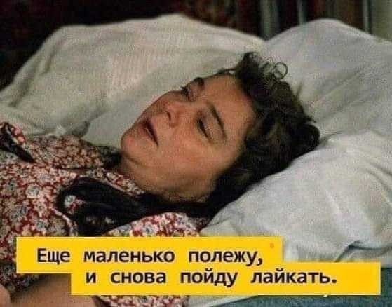 Небольшая подборка мейн-кунов к котовторнику