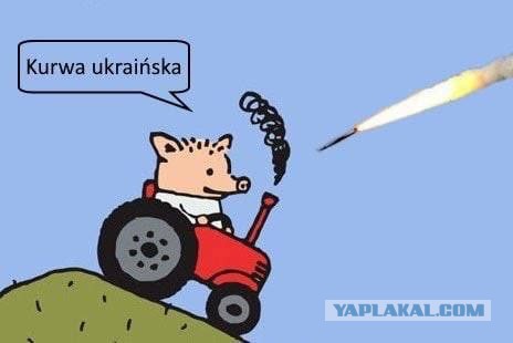 Как поляки выдали ракеты ПВО за российские. Детали