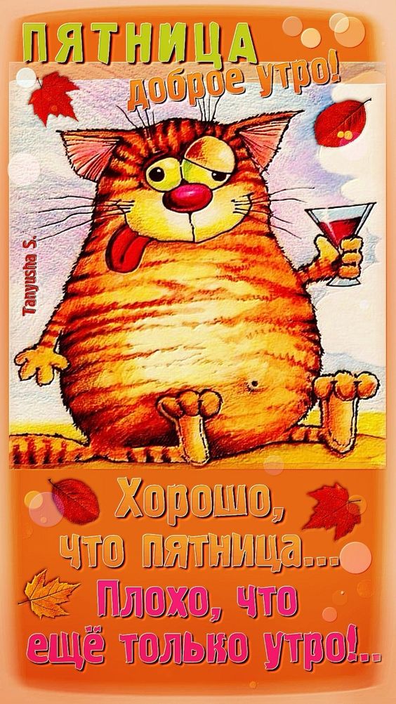 Прикольные и просто красивые картинки 23.12.2022