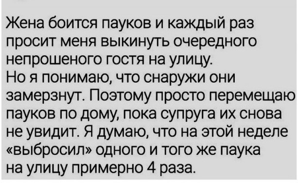 Забавные комментарии из социальных сетей (23.01.23)