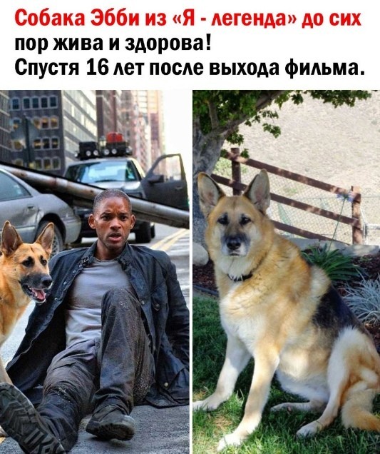 Немного разных картинок 13.05.23