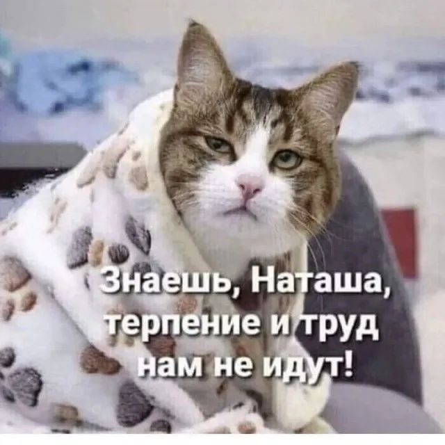 Прикольные и просто красивые картинки 16.06.2023