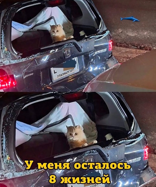 Так себе картинки 09.02.24