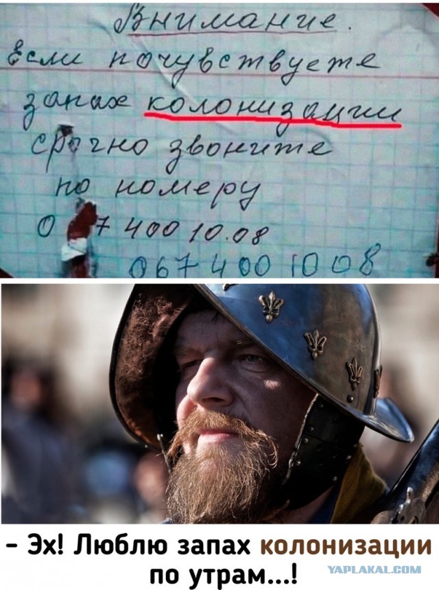 Весёлые картинки