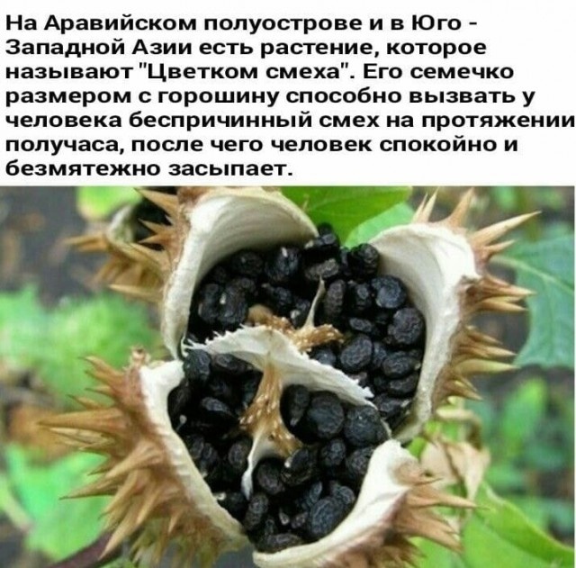 Так себе картинки 22.08.24