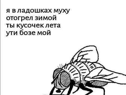 Не смог убить муху и решил провести научный эксперимент! Финал эксперимента . Выводы.