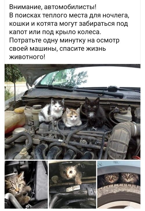 Картинки разные с надписями и без