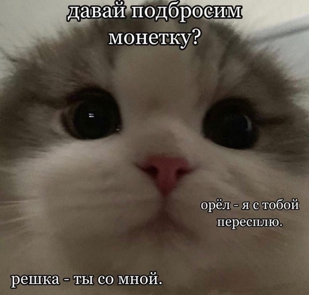 Картинки разные с надписями и без