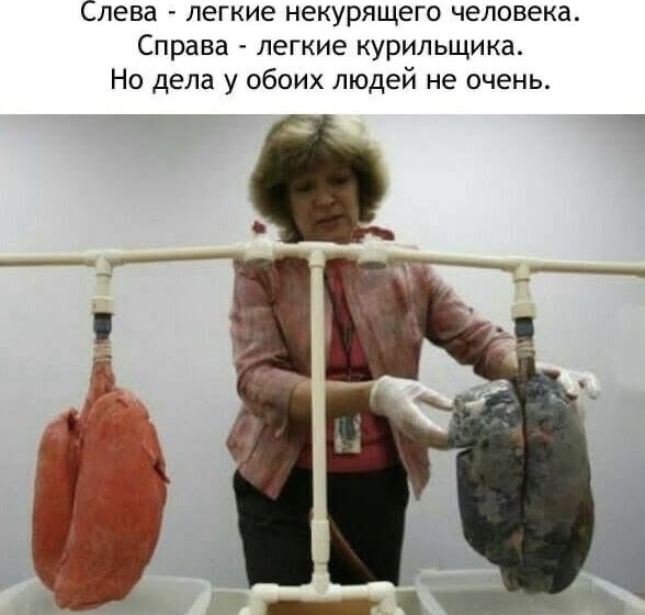 Врачи показали лёгкие одного из бойцов, участвовавших в операции «Поток» в Курской области