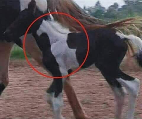 Псто