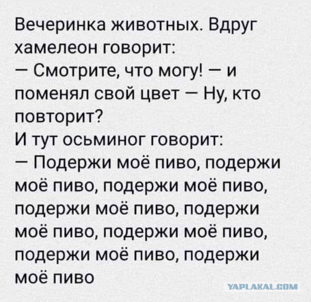 Картинки для деградации-5 (разной степени свежести)