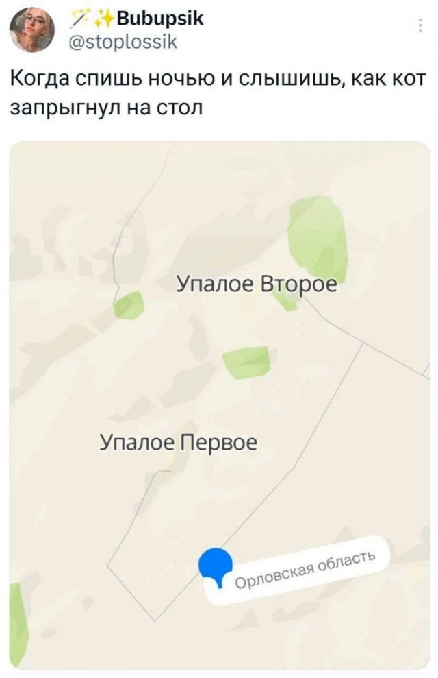 Подборка картинок-баянов с котиками и про котиков. Выпуск 21