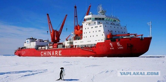 Россия построила свой первый газовоз арктического класса "Алексей Косыгин"