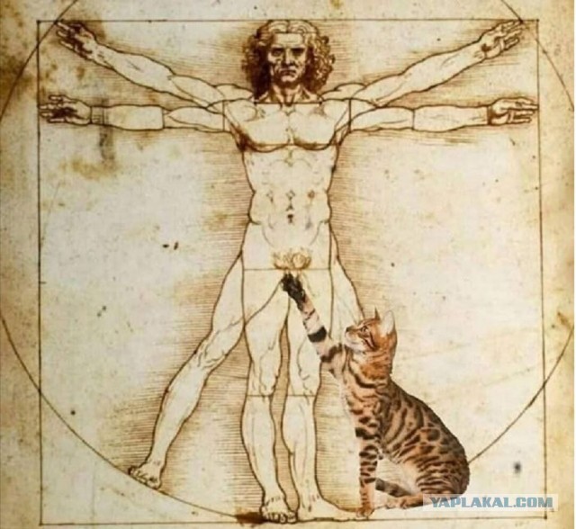 Веселые картинки _)