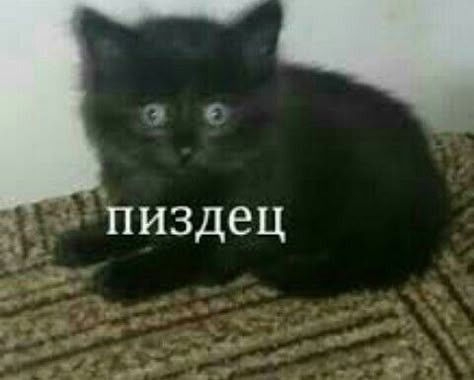 У популярности есть начало