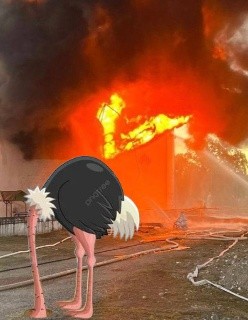 Вот так и борются с БПЛА