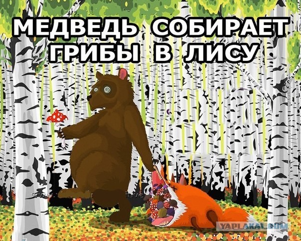 План на лето - пить чай с лисой