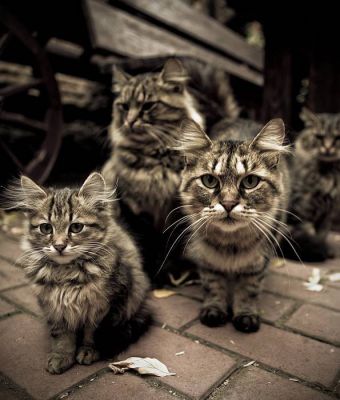 Уделите нам внимание